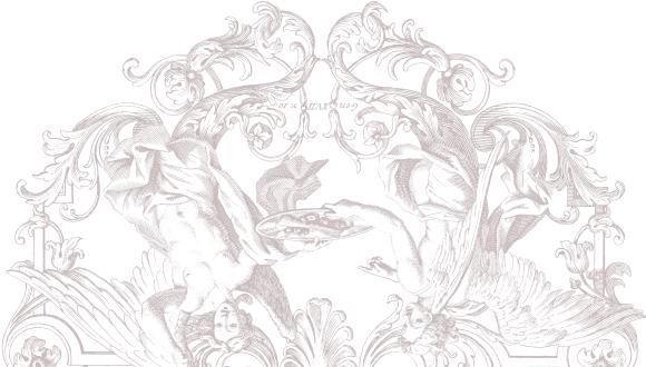 Bottom Graphic