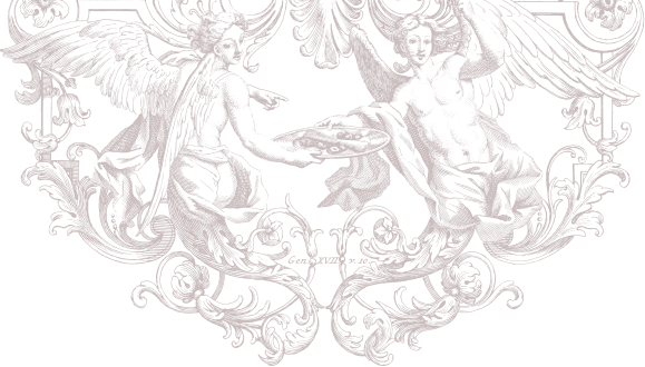 Top Graphic